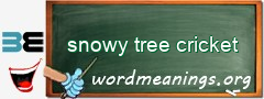 WordMeaning blackboard for snowy tree cricket